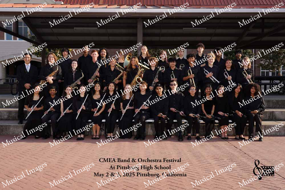 Musical Images